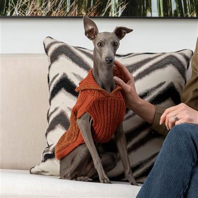 Ember Knit Alpaca Dog Sweater