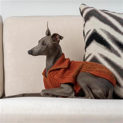 Ember Knit Alpaca Dog Sweater