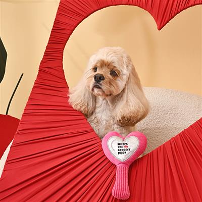 Makeup Collection – Mirror