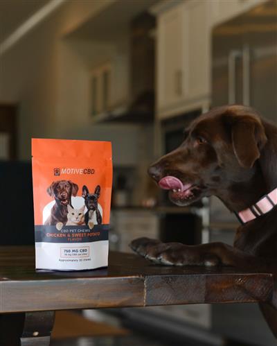 750mg Chicken & Sweet Potato Pet Chews