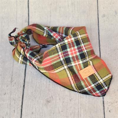 1 Inch Jasper Collar & Lead