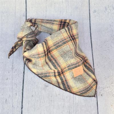 Teddy Plaid Bandana