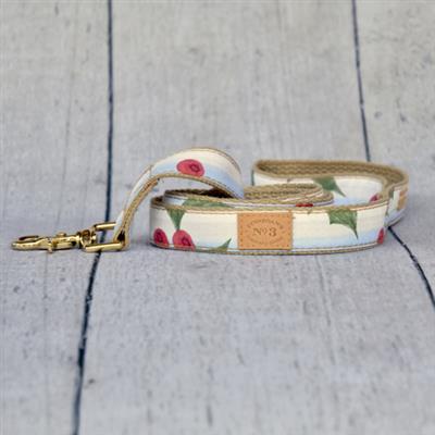 1 Inch Northport Collar & Lead