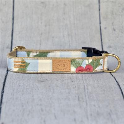 1 Inch Northport Collar & Lead