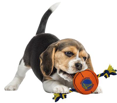 Golden State Warriors Nylon Dog Toy