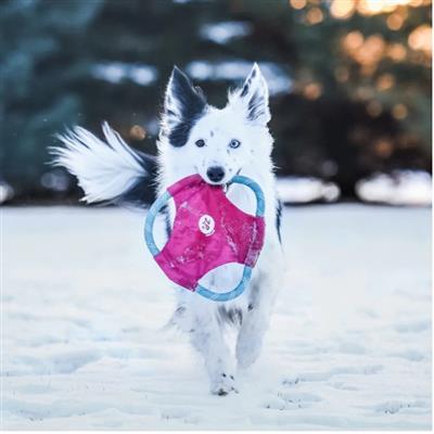 Zippypaws Rope Gliderz Magenta Medium