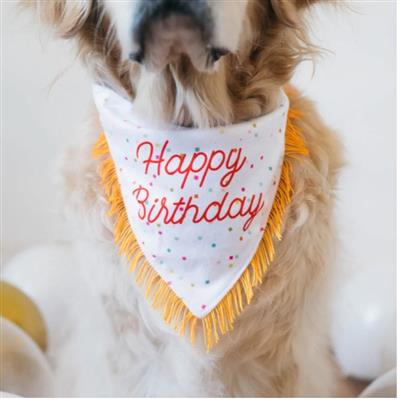 Zippypaws Birthday Bandana And Bone One Size