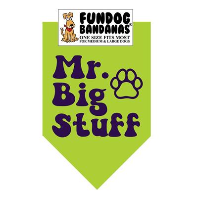 Mr. Big Stuff - Assorted Colors