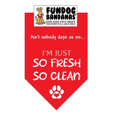 I'M Just So Fresh So Clean Bandana - Assorted Colors