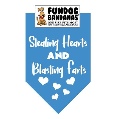 Stealing Hearts And Blasting Farts - Assorted Colors