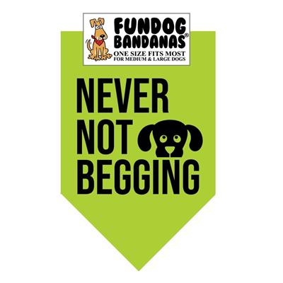  Never Not Begging Bandana