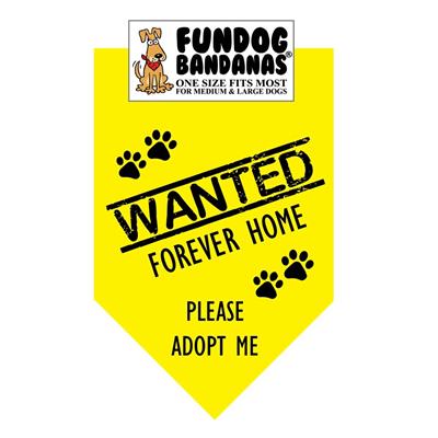  Wanted Forever Home; Please Adopt Me Bandana