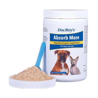 Absorb More 454gm by Doc Roy's