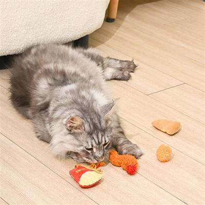 Kitten Party — Purrfect Bites