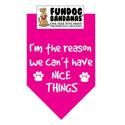  I'M The Reason We Can'T Have Nice Things Bandana - Assorted Colors
