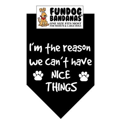  I'M The Reason We Can'T Have Nice Things Bandana - Assorted Colors