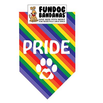  Pride Bandana - Rainbow Only