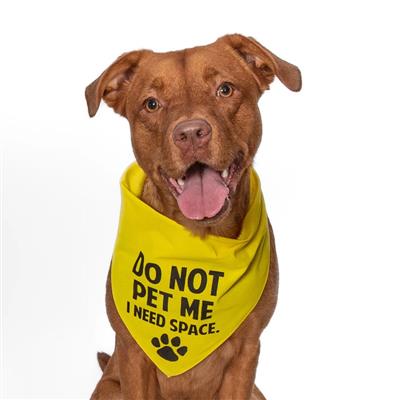  Do Not Pet Me I Need Space. Bandana - Yellow Only