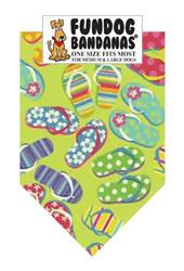 Flip Flop Fun