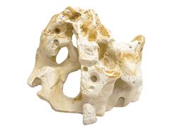 Hikari USA Resin Texas Holey Rock 1ea/12 In X 5.9In X 9.5 in