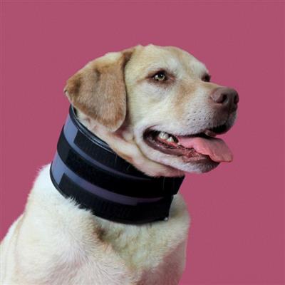 KVP BITE FREE™ Cervical Collar