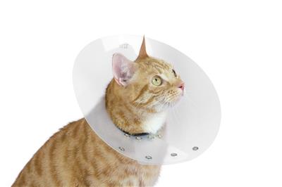 KVP SAF-T-SHIELD™ Collar