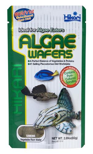 Hikari USA Algae Wafers Rapidly Sinking Wafer Fish Food 1ea/2.89 oz