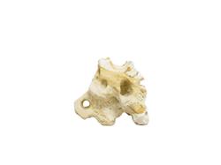 Hikari USA Resin Texas Holey Rock 1ea/5.7 In X 3.75 In X 4.50 in.