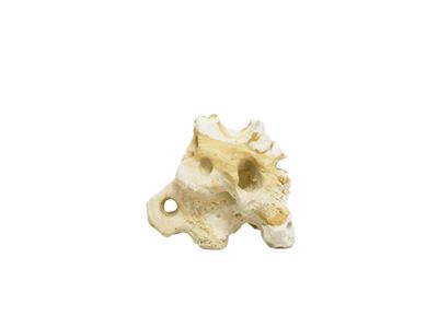 Hikari USA Resin Texas Holey Rock 1ea/5.7 In X 3.75 In X 4.50 in.