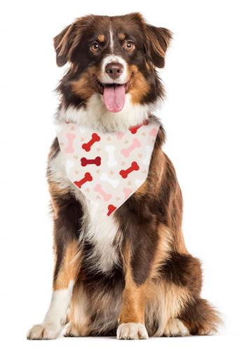 Valentine Bandana | Valentines Day Bandana | Dog Bones | Dog Bandana