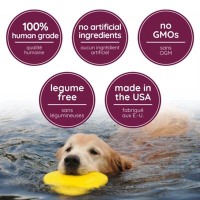 Caru Cheddar Cheese Baked Cookie Treats for Dogs, 4 oz bag