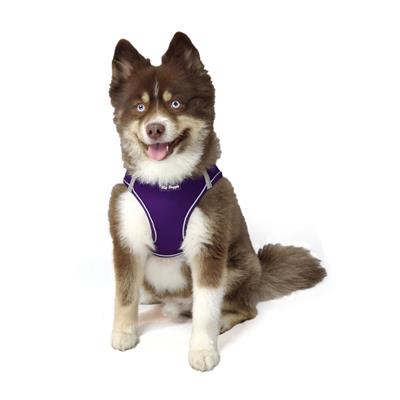 EZ Step-In Harness - Purple