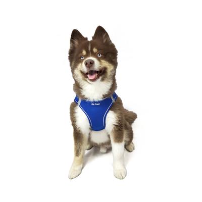 EZ Step-In Harness - Royal Blue