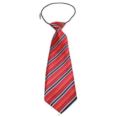 Big Dog Neck Ties, "Shades of Red"