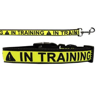 Dog & Cat Nylon Collar or Leash, "In Training"