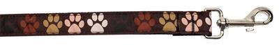 Dog & Cat Nylon Collar or Leash, "Solidarity Paws"