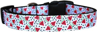 Dog & Cat Nylon Collar or Leash, "Watermelon"