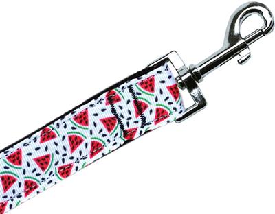 Dog & Cat Nylon Collar or Leash, "Watermelon"