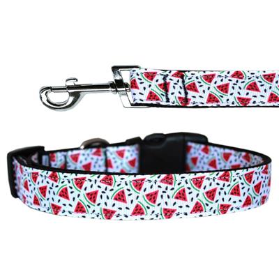 Dog & Cat Nylon Collar or Leash, "Watermelon"