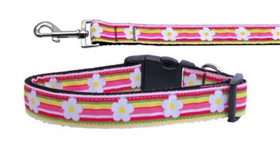 Dog & Cat Nylon Collar or Leash, "Striped Daisy"