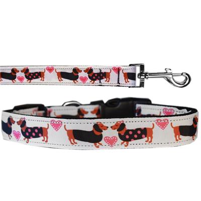 Dog & Cat Nylon Collar or Leash, "Pink Doxie Love"