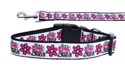 Dog & Cat Nylon Collar or Leash, "Dangerous in Camo"