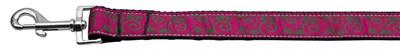 Dog & Cat Nylon Collar or Leash, "Pink & Lime Swirly"