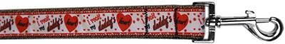 Dog & Cat Nylon Collar or Leash, "Melt Daddy's Heart"