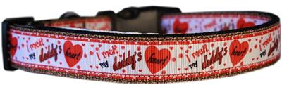 Dog & Cat Nylon Collar or Leash, "Melt Daddy's Heart"