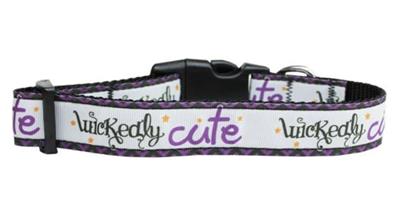 Halloween Dog & Cat Nylon Collar or Leash, "Wickedly Cute"