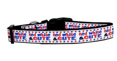 Dog & Cat Nylon Collar or Leash, "Red, White and Cute"