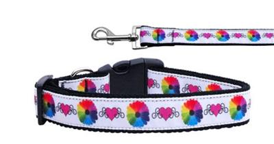 Dog & Cat Nylon Collar or Leash, "Technicolor Love"