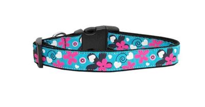 Dog & Cat Nylon Collar or Leash, "Aqua Love"