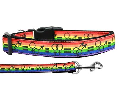 Dog & Cat Nylon Collar or Leash, "Equality"